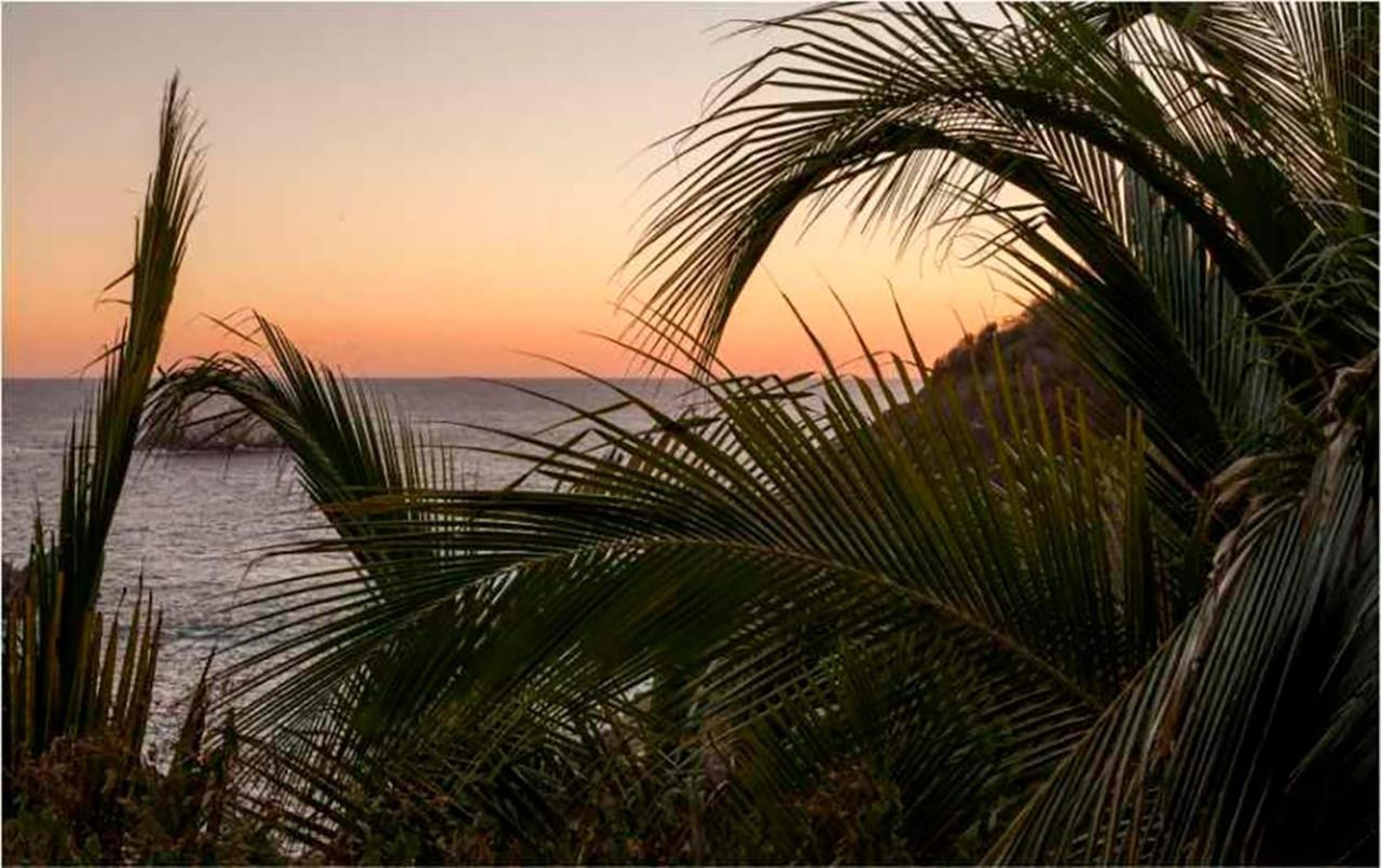 Casa Sol Zipolite Hotel Eksteriør billede